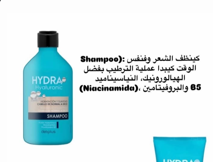 شمبون hydra