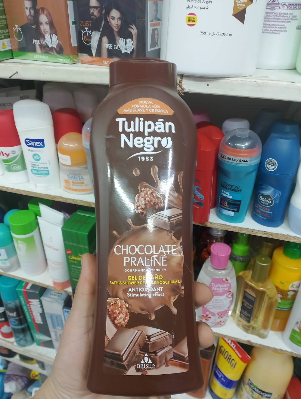 Gel tulipan chocolate